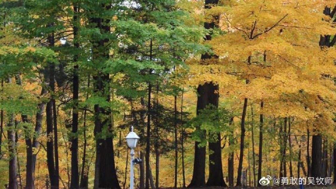 快手在线自助业务平台