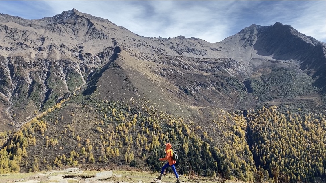 抖音自助下单网站橙子